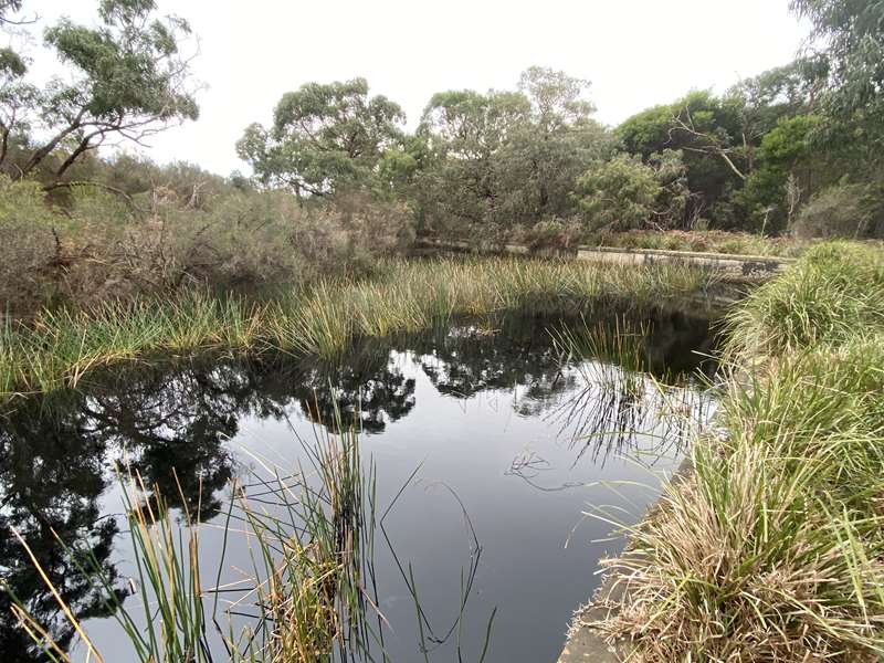 Langwarrin Flora and Fauna Reserve (Langwarrin)