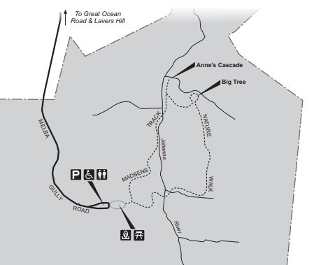 Lavers Hill - Melba Gully (Great Otway National Park)