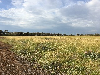 Lawrie Emmins Reserve Dog Off Leash Area (Laverton North)