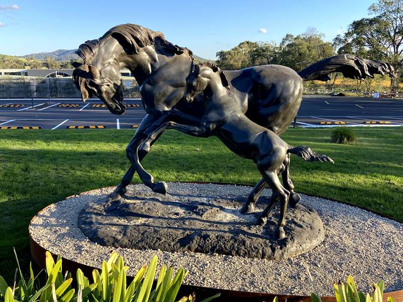 Levantine Hill Winery Sculpture Walk