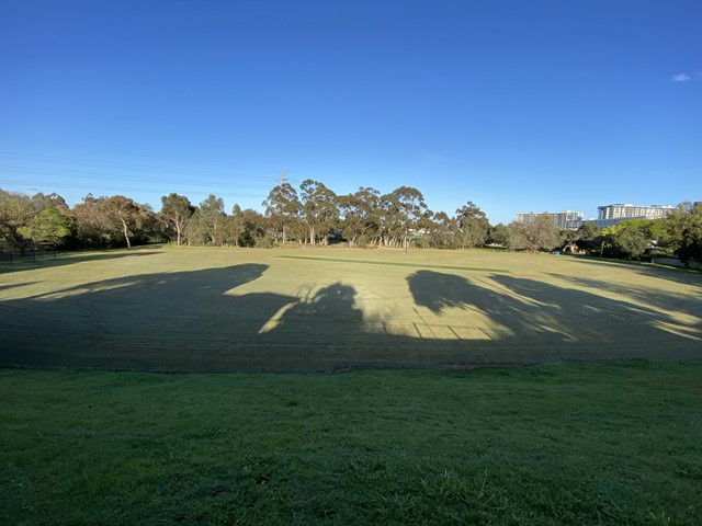 Levin Reserve Dog Off Leash Area (Glen Iris)