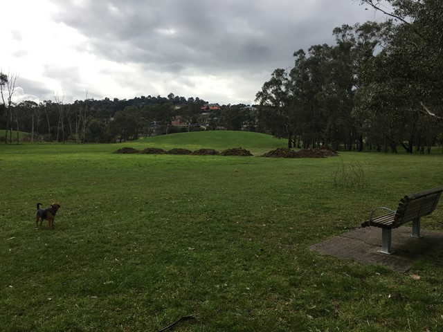 Lillydale Lake East Dog Off Leash Area (Lilydale)