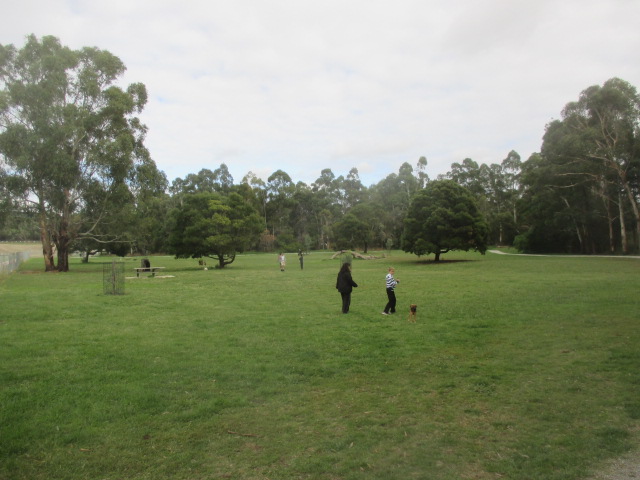 Lillydale Lake North West Dog Off Leash Area (Lilydale)