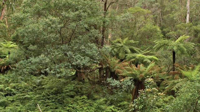 Club Terrace - Lind National Park