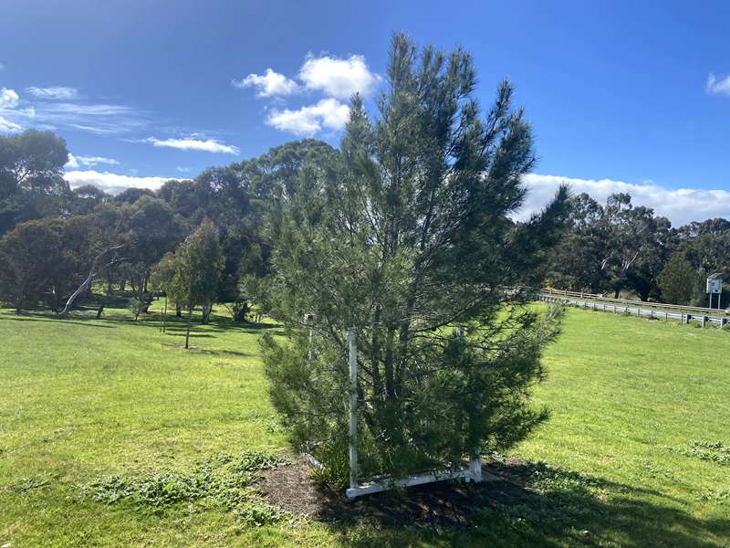 Lismore Discovery Trail