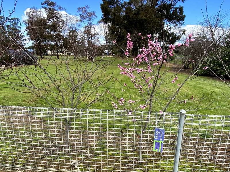 Lismore Gathering Trail