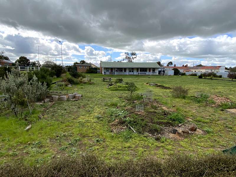 Lismore - Murnong Indigenous Garden