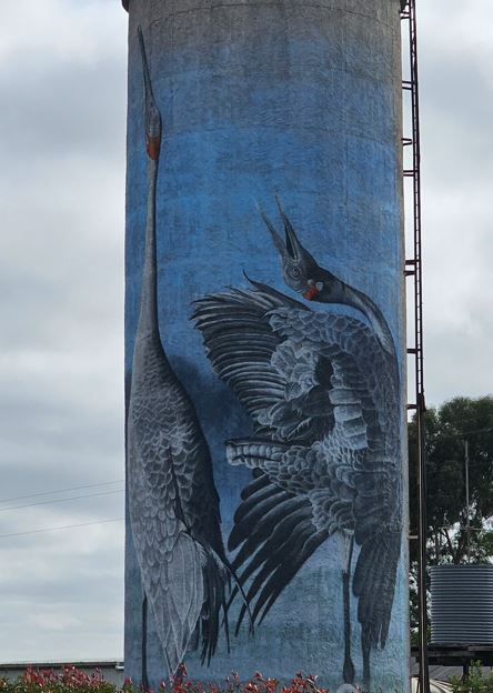 Lismore Water Tower Art