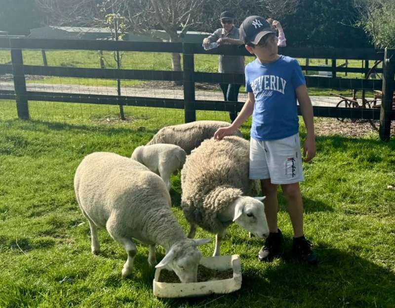 Little Farm Plays (Pakenham)