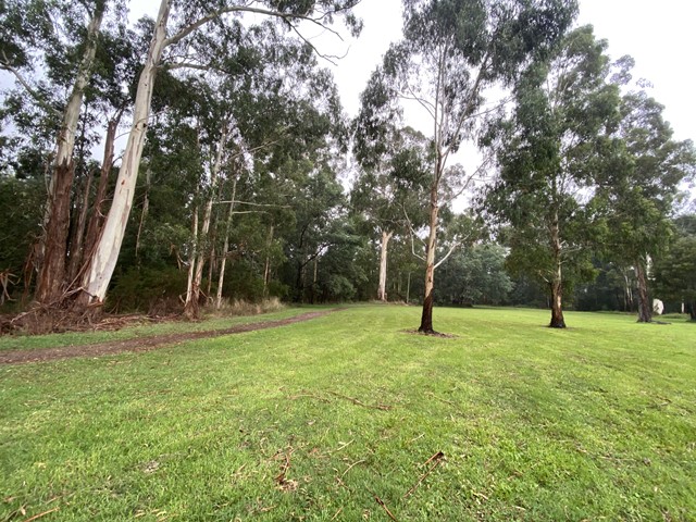 Little Yarra Riverside Walk (Yarra Junction)