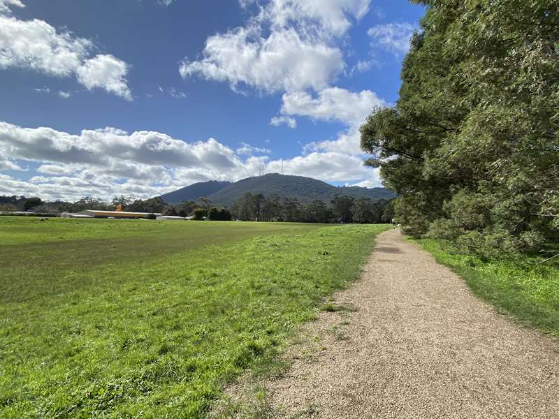 Liverpool Road Retarding Basin Dog Off Leash Area (Boronia)