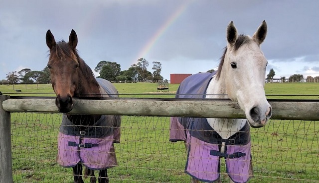 Living Legends (Greenvale)