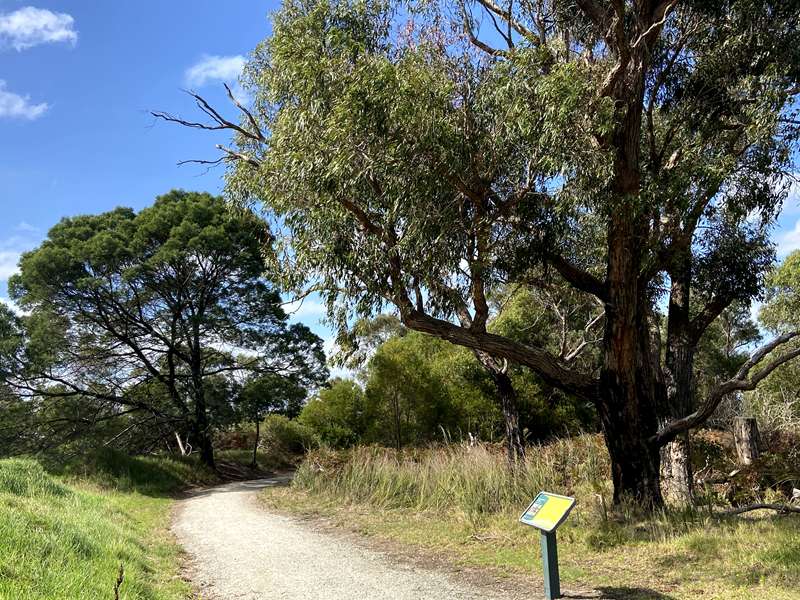 Longwarry - Bandicoot Walking Track