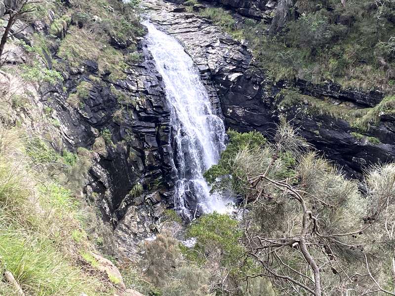 Lorne - Sheoak Falls and Swallow Cave Falls