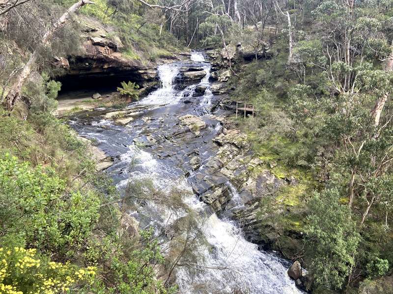Lorne - Sheoak Falls and Swallow Cave Falls
