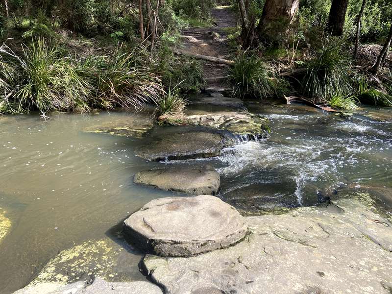 Lorne - Sheoak Falls and Swallow Cave Falls