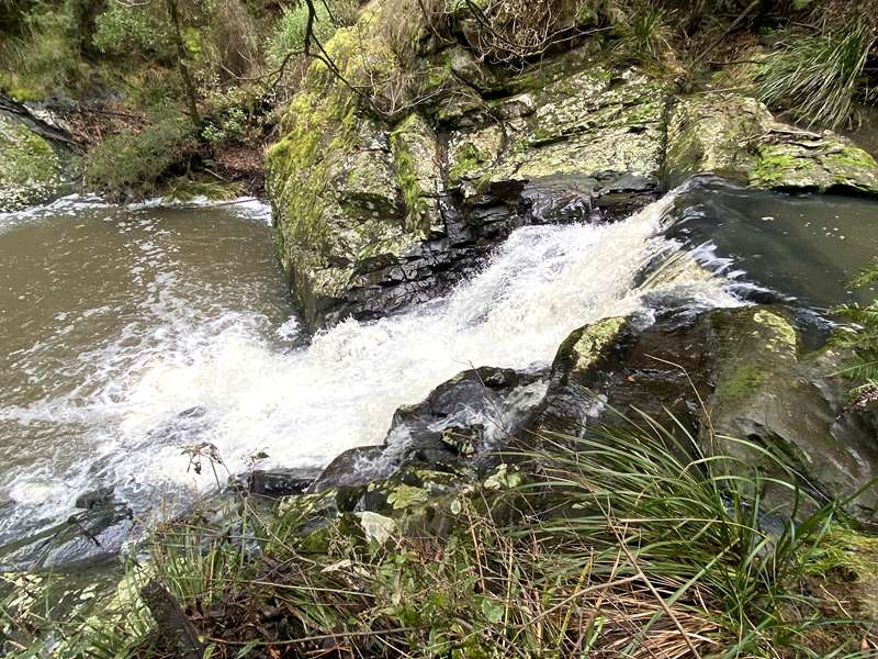 Lorne - Sheoak Falls to Sheoak Picnic Area Walk