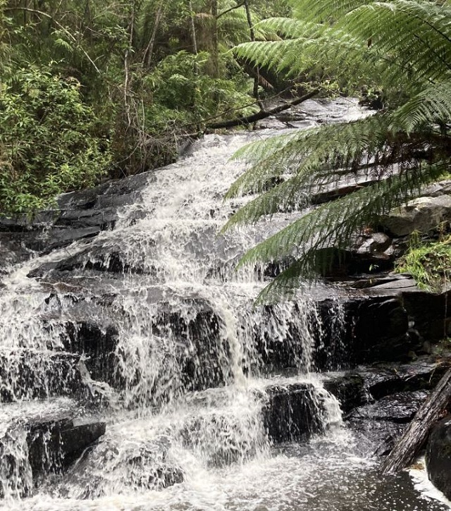 Lorne - Cora Lynn Cascades