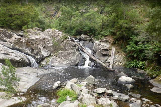 Cumberland River - Cumberland Falls