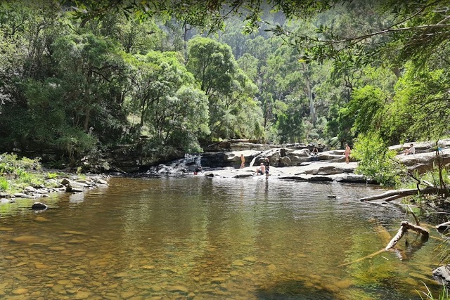 Cumberland River - Jebbs Pool