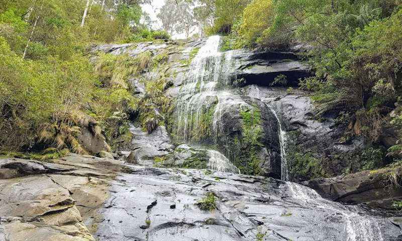 Lorne - Straw Falls