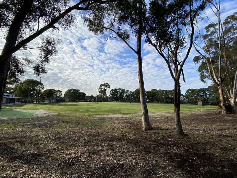 Loyola Reserve Dog Off Leash Area (Bundoora)