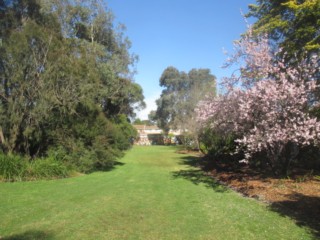 Lyle Anderson Reserve Dog Off Leash Area (Highett)