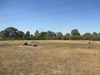 Lyndarum Wetland Fenced Dog Park (Epping)