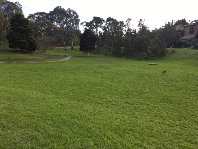 Lynnwood Reserve Dog Off Leash Area (Templestowe Lower)