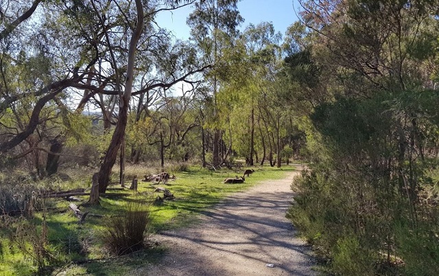 Lysterfield Park (Narre Warren North)