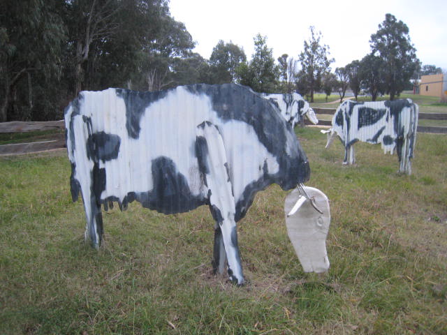 Macalister River Regional Park Playground, River Street, Maffra