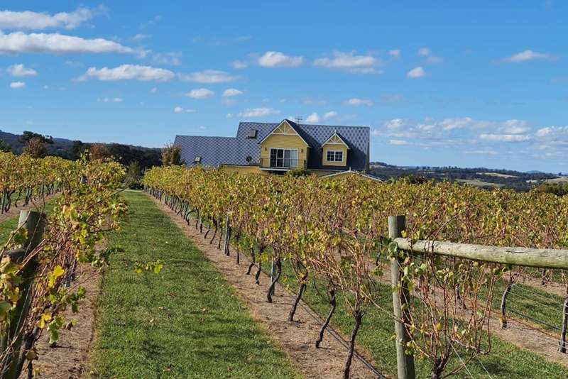 Maffra West Upper - Blue Gables Vineyard