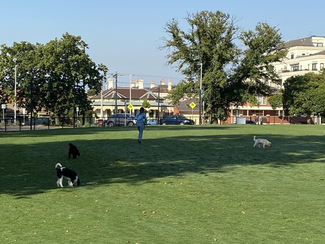 Malvern Cricket Ground Dog Off Leash Area (Malvern)