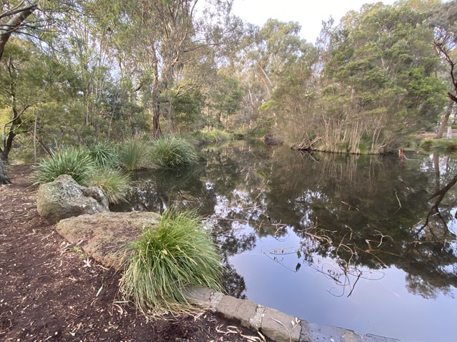 Malvern Urban Forest (Malvern East)