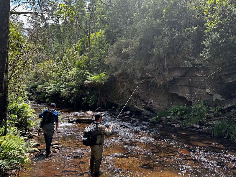 Mansfield - Beyond Fly Fishing