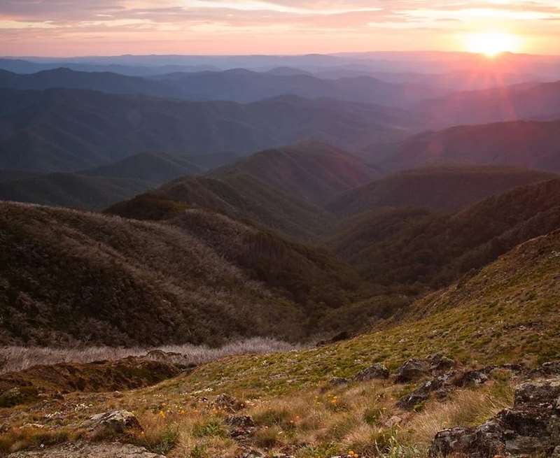 Mansfield Bushwalks