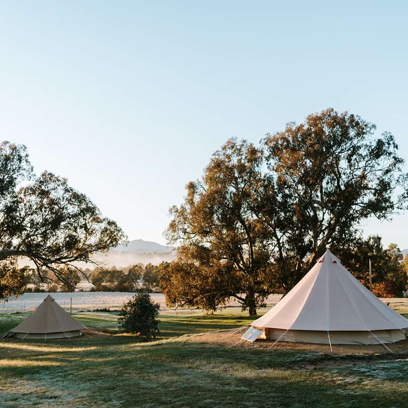 Mansfield Glamping