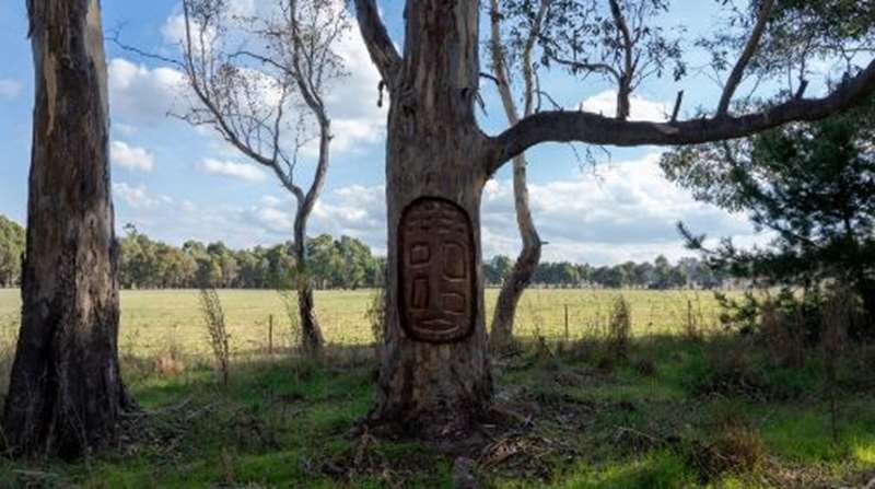 Great Victorian Rail Trail