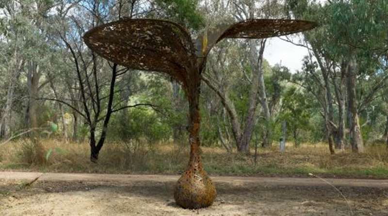 Great Victorian Rail Trail