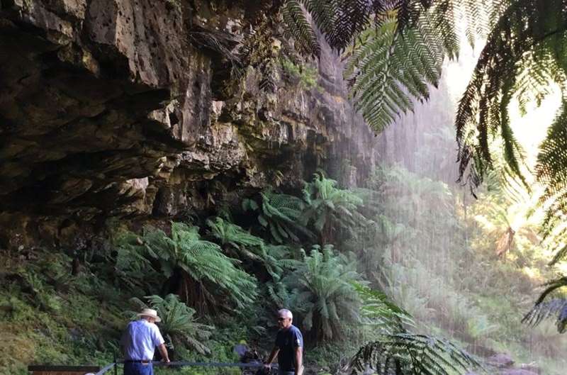 Mansfield - High Country Scenic Tours