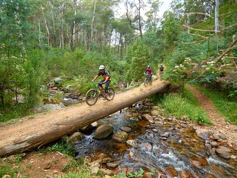 Mt Buller Mountain Bike Park