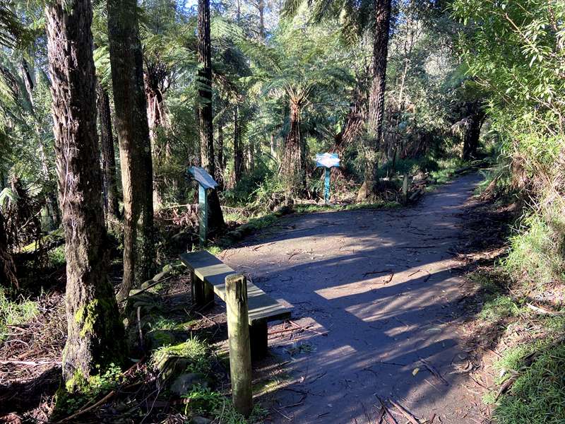 Margaret Lester Forest Walk (Sherbrooke)