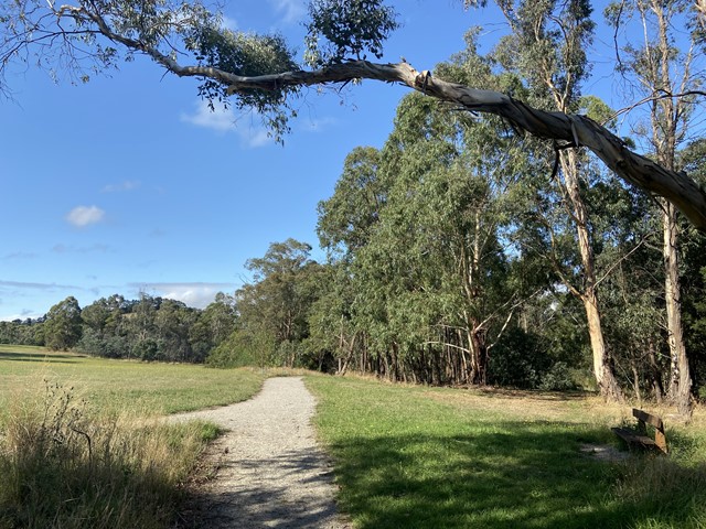 Margaret Lewis Reserve Dog Off Leash Area (Coldstream)