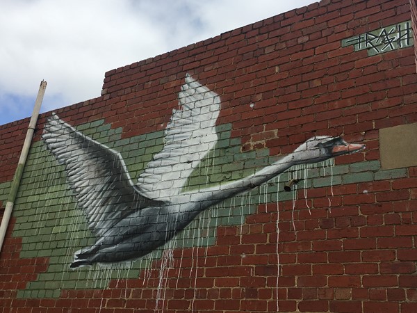 Maribyrnong Public and Street Art