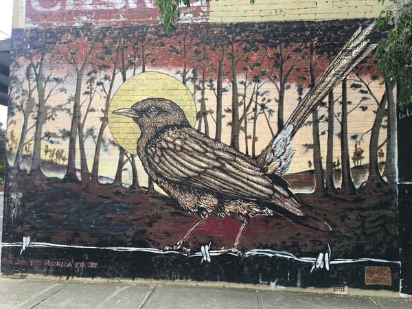 Maribyrnong Public and Street Art