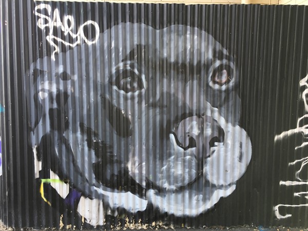 Maribyrnong Public and Street Art