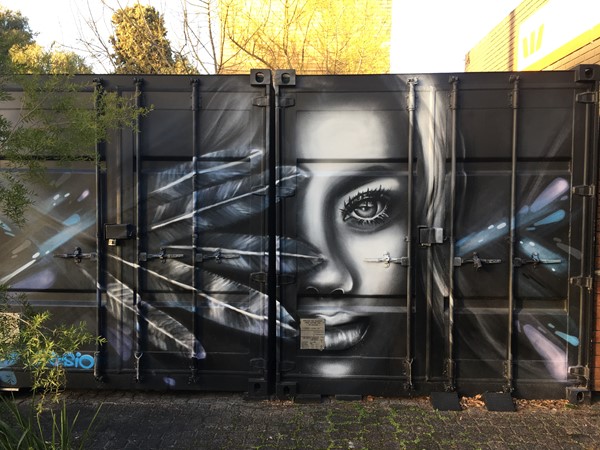 Maroondah Council Public and Street Art