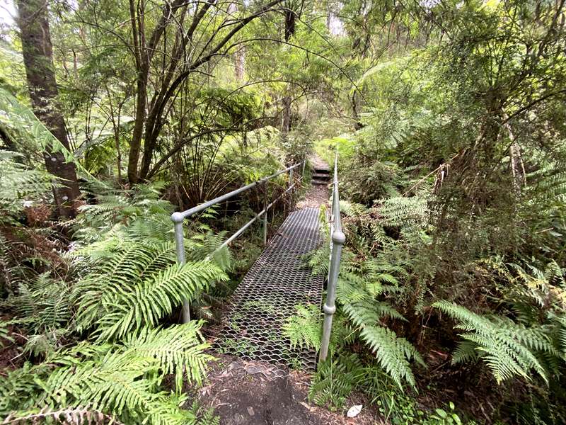 Maroondah Reservoir Park (Healesville)