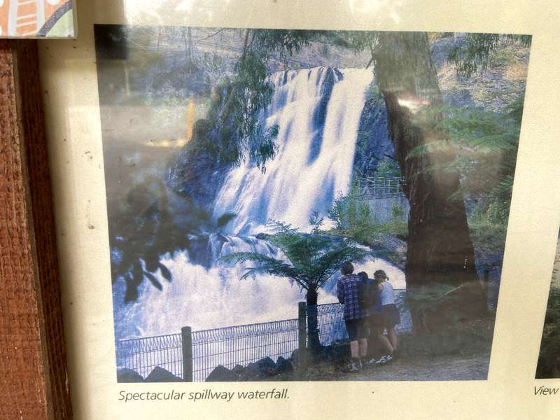 Maroondah Reservoir Park (Healesville)