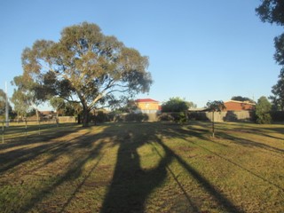 Martin Reserve Dog Off Leash Area (Hadfield)